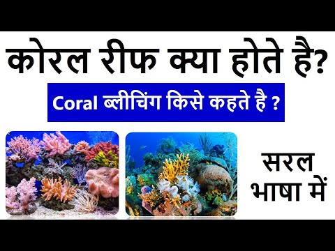 Corol Reef क्या होते है ? कोरल ब्लीचिंग किसे कहते है ? सरल भाषा में GK in Hindi