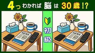 Find the four differences : A puzzle challenge awaits you. (Easy to normal difficulty)#361
