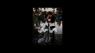 ربيع بارود إنتي حياتي