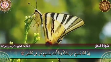 سورة فاطر كاملة _ القارئ ياسر عويضة