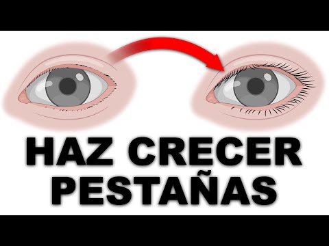 Video: Cómo hacer que tus pestañas vuelvan a crecer después de que se caen