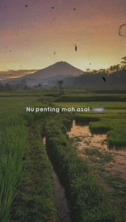 Story WA Terbaru | Lirik Lagu | Lagu Sunda | MAWAR BODAS