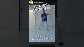 Tai Chi Stick