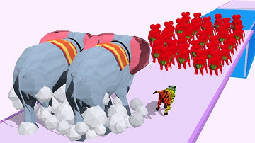 Animal Transform Epic Race 3D MAX LEVEL / All Levels Gameplay Android iOS