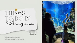 Things To Do In Arizona. Sea Life Aquarium. Tempe, AZ. || Mom Life.