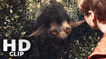 Is Jaskier in love with The Witcher?