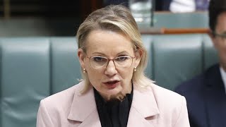 Liberals argue they need their ‘own policy’ after Nationals ditch net zero