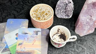 картинка: Что заканчивается что начинается Кофейная Гуща Таро 