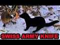 The Mink Swiss Army Knife!