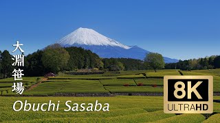 Obuchi Sasaba Green Tea Plantations and Mt. Fuji - Shizuoka - 大淵笹場 - 8K
