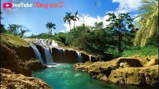 Wis Kudune Karaoke voc: Dapud Anggara