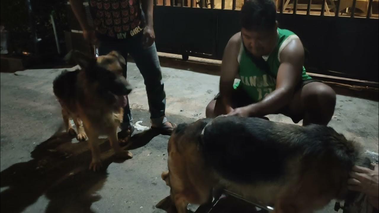 PROSES GAGAL KAWIN - YouTube