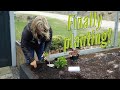 It&#39;s time to do some proper planting 🌿 Sweet peas, lettuce, onions + more!