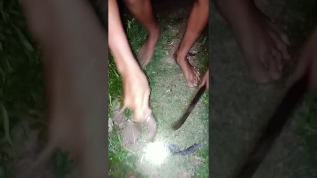 Dapat belut:alhamdulillah #beranda