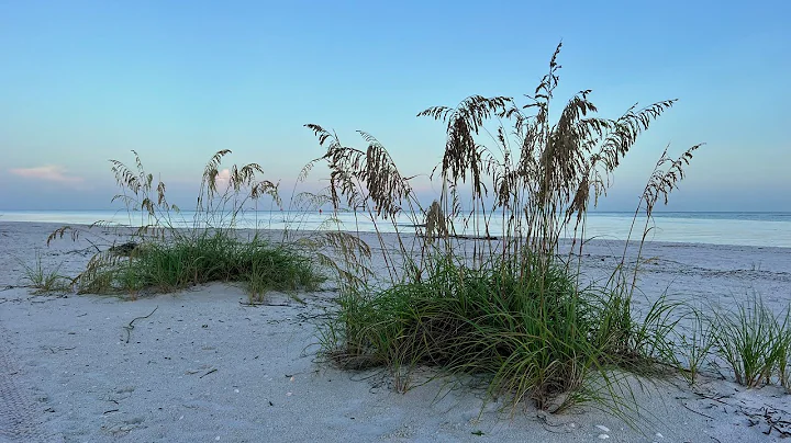 Part 3 of Robb's Friday Morning Beach Walk in North Naples, FL 08/05/22