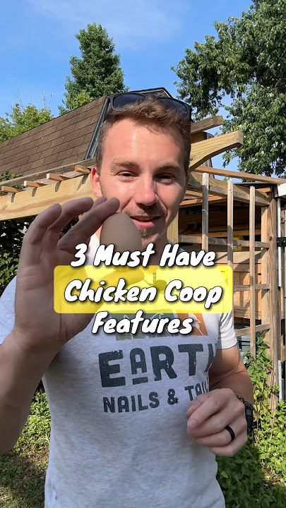 3 Must Have Chicken Coop Features