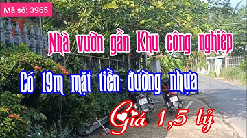 Bán gấp căn nhà có 19m mặt tiền đường nhựa, gần Khu công nghiệp Tân Hương, giá 1,5 tỷ - MS 3965