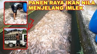 Great Harvest Of Tile Fish Ahead Of Chinese New Year Prices Continue To Rise