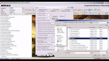01.016 IN MIKRO ERP : HOW TO CHANGE THE THEME OF PROGRAM