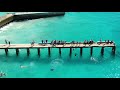Crashboat Beach Aguadilla, P.R.  4K Drone Footage