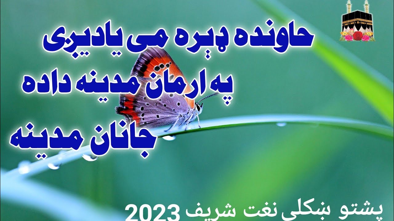 خاونده ډېره می یادیږی په ارمان مدینه داده جانان مدینه یوځل می بوځی پښتو ښکلی نعت شریف 2023