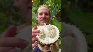 The Weirdest Fruit Ive Ever Opened