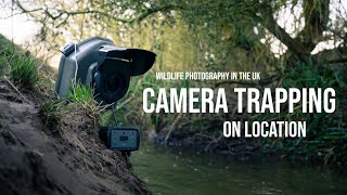 DSLR Camera Trapping in the UK | WILDLIFE PHOTOGRAPHY on Location