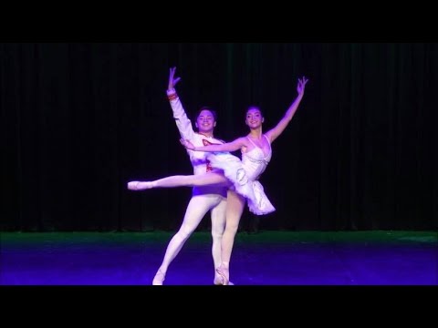 The Nutcracker Act II Sugarplum And Cavalier Grand Pas De Deux