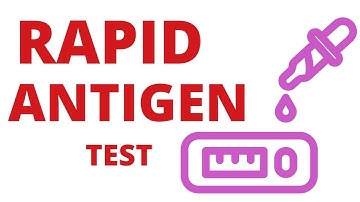 😷 HOW RAPID ANTIGEN TESTS WORK