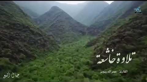 تلاوة من سورة الزمر للقارئ عمر الدريويز