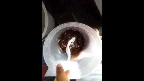 Science Prediction and Observation with MaKynLee 6 of 6