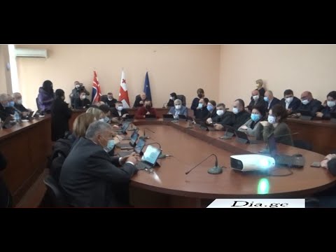 გორის მუნიციპალიტეტის საკრებულოს სხდომა და ოპოზიციის პროტესტი 10.11.2021