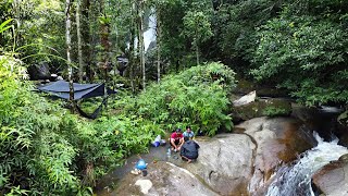 Download Lagu Fishing camping di spot baru tengah hutan kalimantan bersama teman teman panen ikan MP3 Download Lagu Fishing camping di spot baru tengah hutan kalimantan bersama teman teman panen ikan MP3