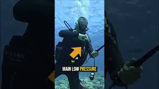 What Exploded Behind This Diver?