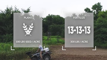 PlotSpike Forage Oats