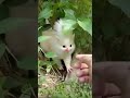 Beautiful ❤️ Nature