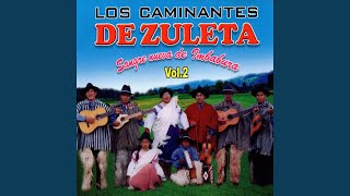 Video thumbnail of "Caminantes De Zuleta - Que Bonito Matrimonio"