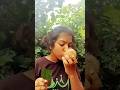 Chocolate Smell 🍫 vs Leaf Eating 🍃 = Funny Confusion 😂