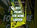3 BEST Palm Trees for UK Home Tropical Gardens #shorts #tropicalgarden #palms