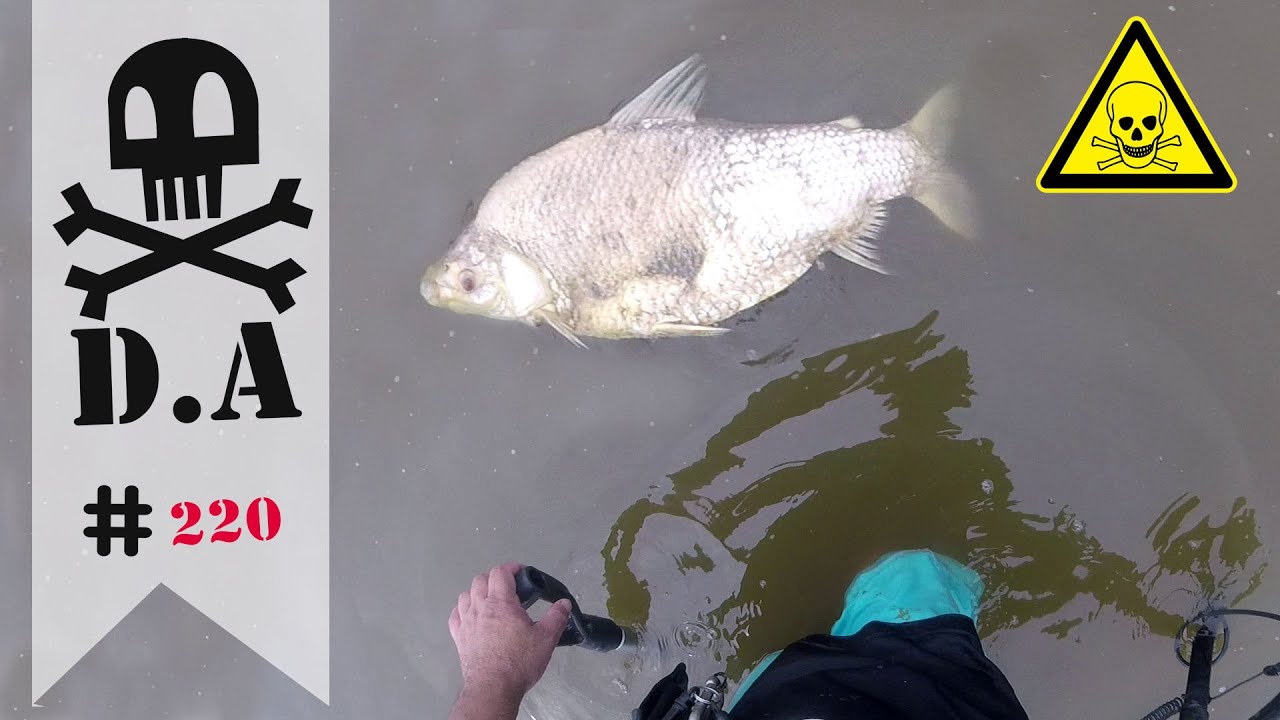 EL TESORO DEL RIO TOXICO ☢ DETECCION AVENTURA - YouTube