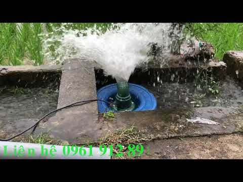 Video Máy bơm tõm - Bán máy bơm tõm 1,5kw bơm nước, tạo oxi... - youtube