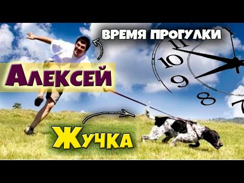 ЛУЧШЕЕ! ЗАДАЧА 17 ПРОФИЛЬ ЕГЭ. КАК РЕШАТЬ?