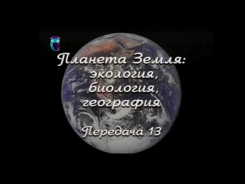 Передача 13. Лесостепь и степь