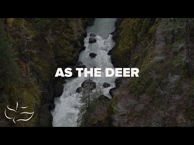 As the Deer | Lyric Video class=