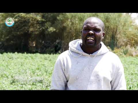 ⁣Innovative Farming Techniques for Water Towers Conservation - Kenya