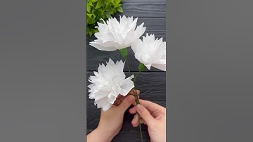 How to make Easy Tissue Paper Flowers  DIY Paper Craft Tutorial