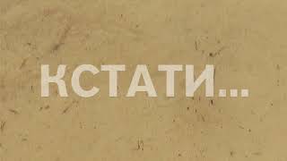 Экологи гадают над причиной появления медуз в дзержинском озере Экологи гадают над причиной появления медуз в дзержинском озере