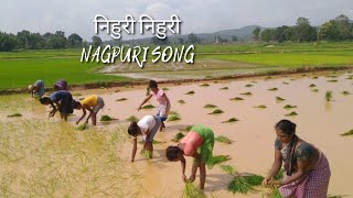 Download Lagu nihuri nihuri//निहुरी निहुरी NAGPURI SONG MP3