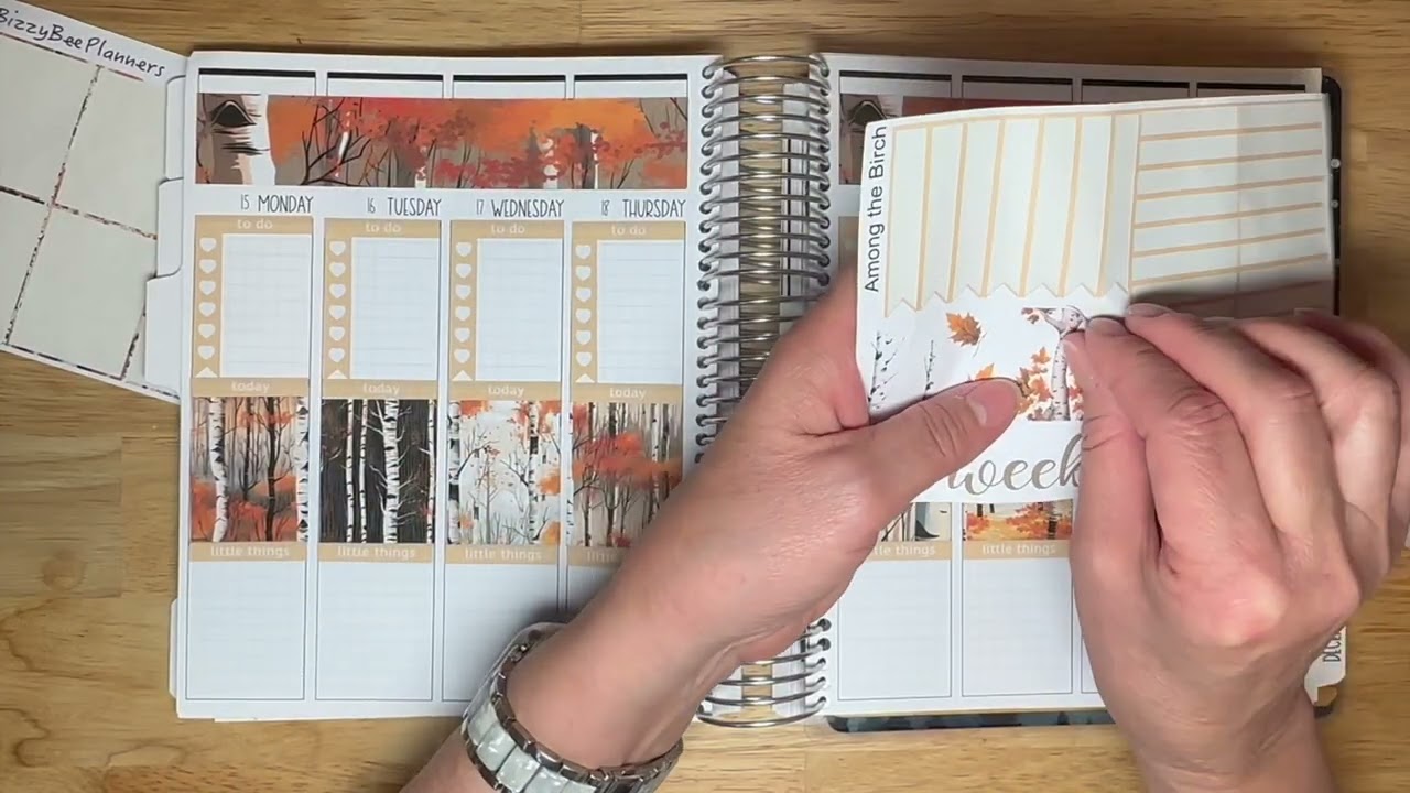 Chatty Plan With Me and Shop News!