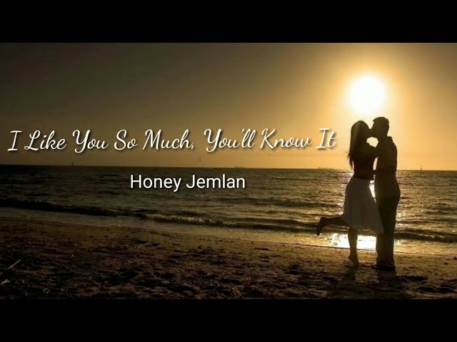 Honey Jemlan - I Like You So Much, You'll Know It (Lyrics) class=